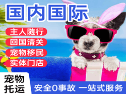 三女河空运国际宠物托运 【国